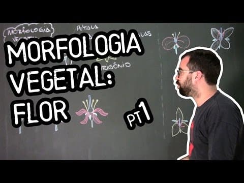 Thumbnail da aula: Organologia da Flor (Morfologia) - Aula 18: Botânica (Prof. Guilherme)
