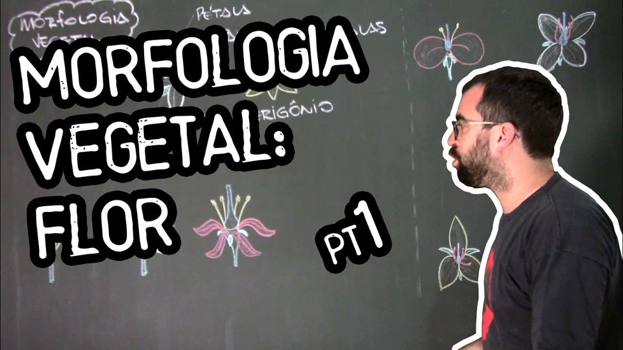 Thumbnail: Organologia da Flor (Morfologia) - Aula 18: Botânica (Prof. Guilherme)