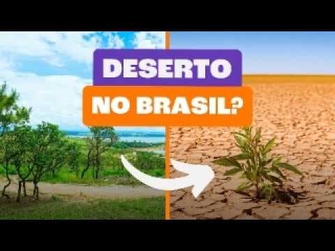 Thumbnail da aula: Descubra os Impactos da Deserfiticação no Brasil!