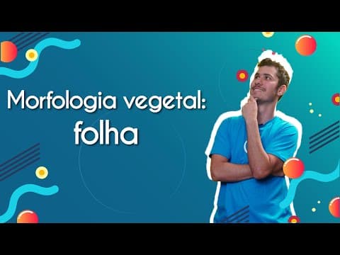 Thumbnail da aula: Morfologia vegetal: folha - Brasil Escola