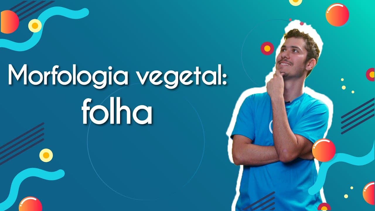 Thumbnail: Morfologia vegetal: folha - Brasil Escola