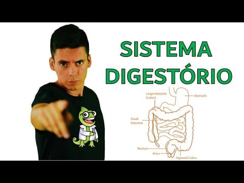Thumbnail da aula: Sistema Digestório - Resumo Professor Gustavo Schmidt