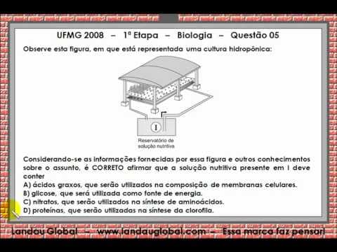 Thumbnail da aula: UFMG_2008_BIO_P1_Q05