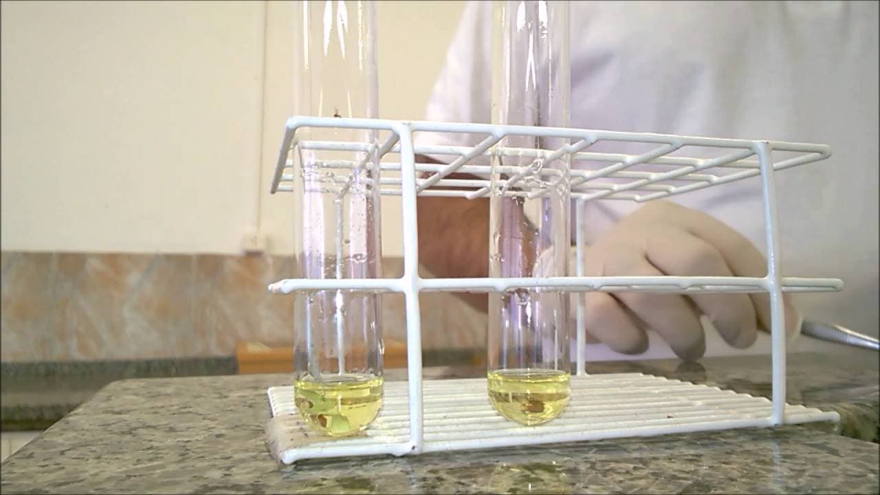 Thumbnail: Química Ensinada - Reações Químicas - Atividade Experimental 01