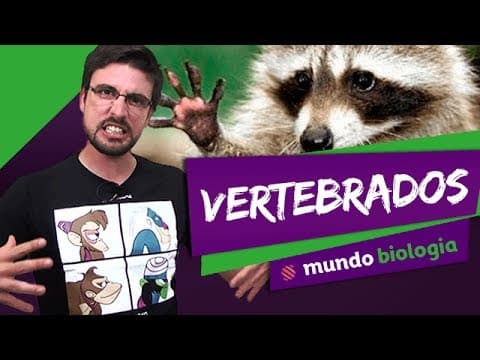 Thumbnail da aula: 🐍 Zoologia (6/6): Vertebrados - Biologia - ENEM