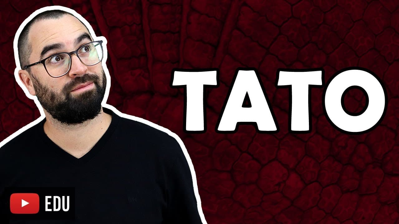 Thumbnail: O Tato - Aula 40 - Módulo VII: Histologia e Fisiologia Humana | Prof. Gui