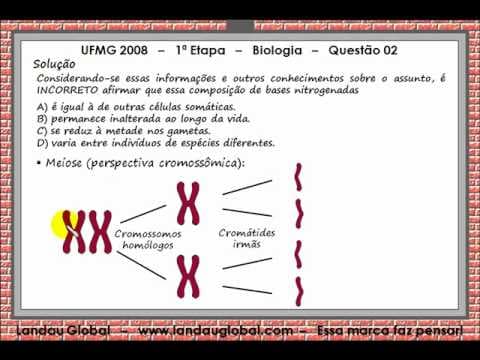 Thumbnail da aula: UFMG_2008_BIO_P1_Q02
