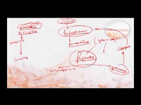 Thumbnail da aula: Biologia - UERJ | FOCA na UERJ  Parte 3