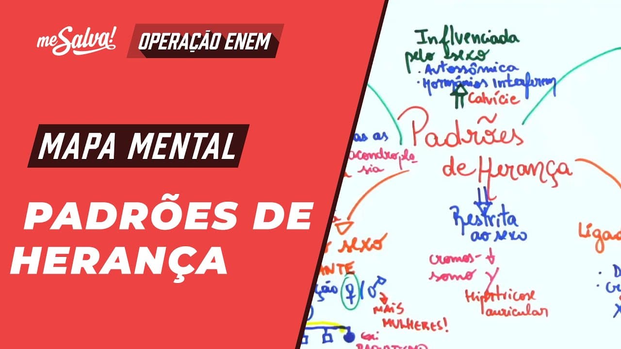 Thumbnail: Padrões de Herança - Biologia | Mapas Mentais ENEM 2024 | Me Salva!