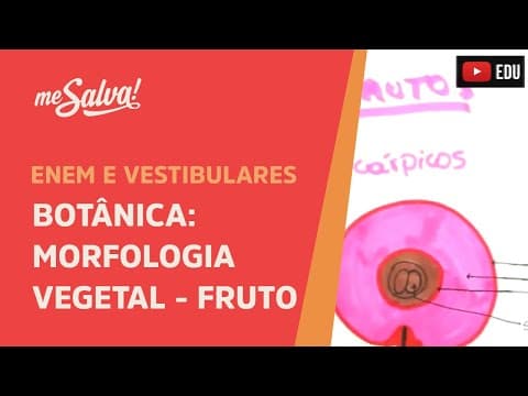 Thumbnail da aula: Me Salva! BOT43 - Botânica - Morfologia vegetal: o fruto