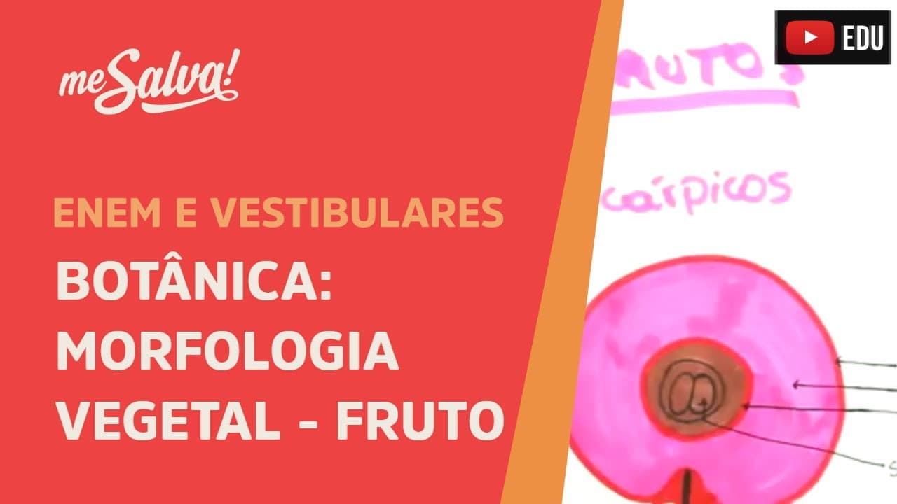 Thumbnail: Me Salva! BOT43 - Botânica - Morfologia vegetal: o fruto