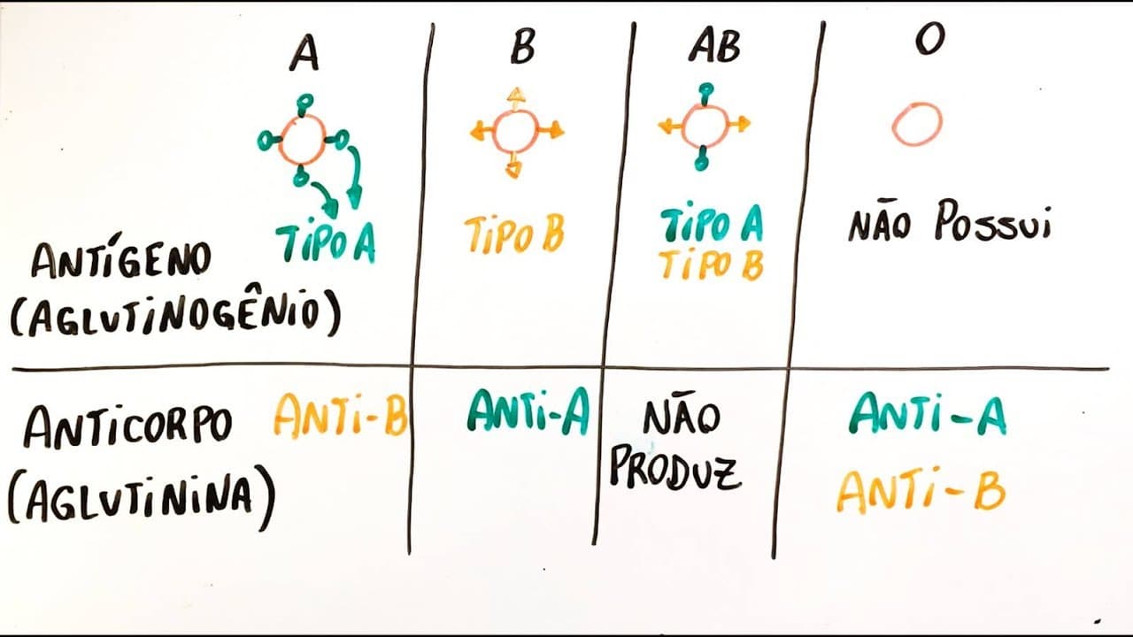 Thumbnail: Sistema ABO e fator Rh (Parte I) - Resumo Professor Gustavo