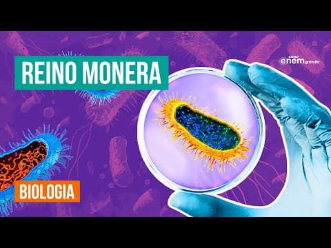 Thumbnail da aula: REINO MONERA: características, anatomia e tipos  de bactérias | Biologia  Enem. Prof Claudia Aguiar
