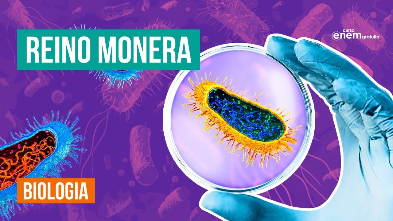 Thumbnail: REINO MONERA: características, anatomia e tipos  de bactérias | Biologia  Enem. Prof Claudia Aguiar