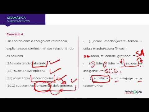 Thumbnail da aula: VOCÊ SABE O QUE É SUBSTANTIVO EPICENO? - TIPOS DE SUBSTANTIVOS - Profa. Pamba