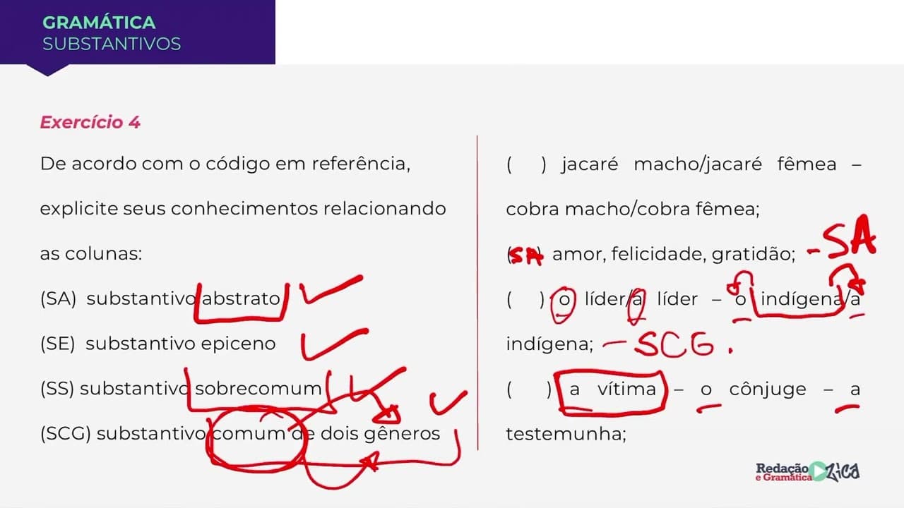 Thumbnail: VOCÊ SABE O QUE É SUBSTANTIVO EPICENO? - TIPOS DE SUBSTANTIVOS - Profa. Pamba