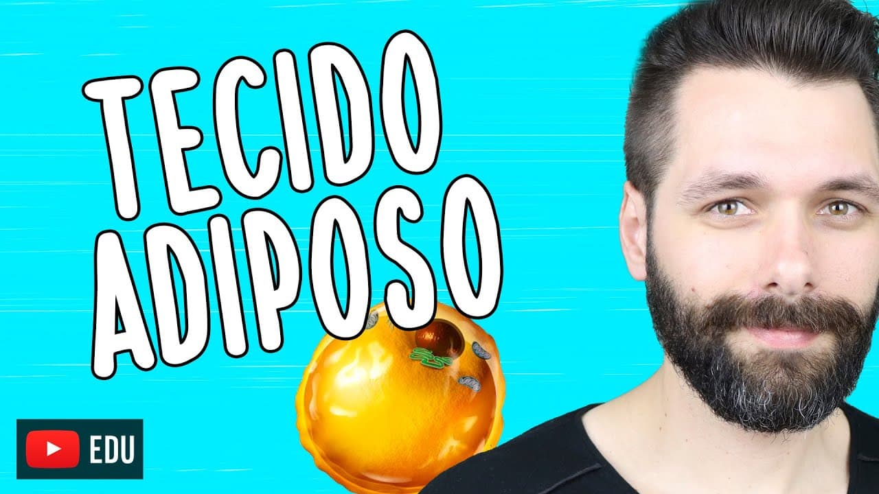 Thumbnail: TECIDO ADIPOSO - Tecido Conjuntivo especial | Biologia com Samuel Cunha