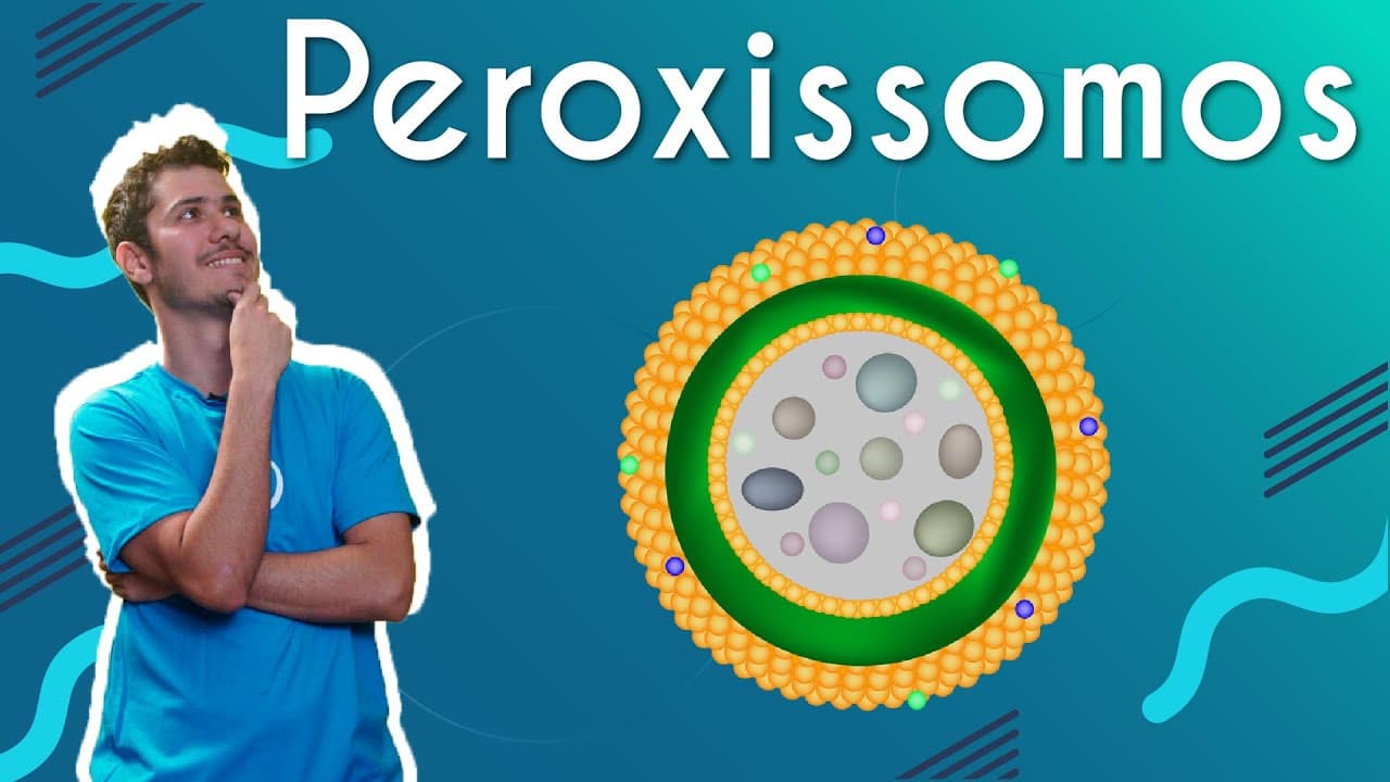 Thumbnail: Peroxissomos - Brasil Escola