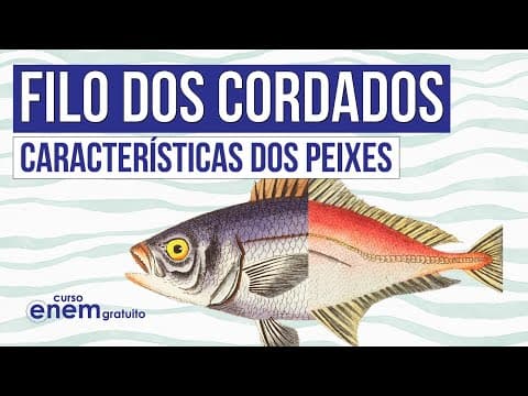 Thumbnail da aula: FILO DOS CORDADOS: características dos peixes | Biologia para o Enem | Cláudia de Souza Aguiar