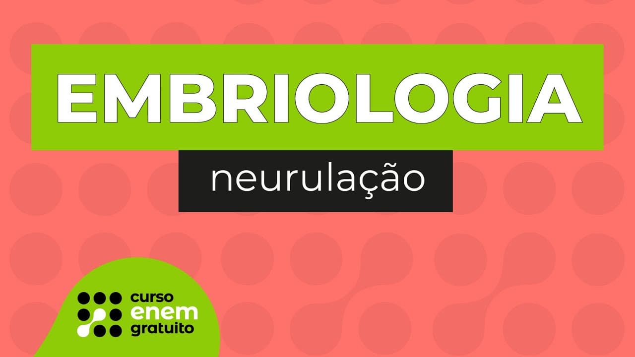 Thumbnail: EMBRIOLOGIA: neurulação | Biologia para o Enem | Cláudia de Souza Aguiar