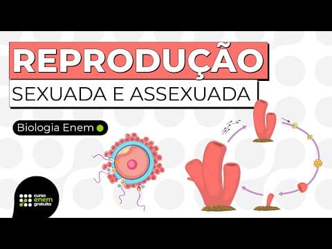 Thumbnail da aula: TIPOS DE REPRODUÇÃO: sexuada e assexuada | RESUMO DE BIOLOGIA PARA O ENEM