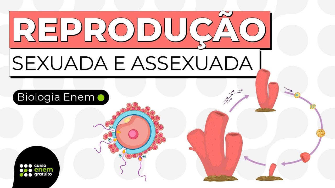 Thumbnail: TIPOS DE REPRODUÇÃO: sexuada e assexuada | RESUMO DE BIOLOGIA PARA O ENEM