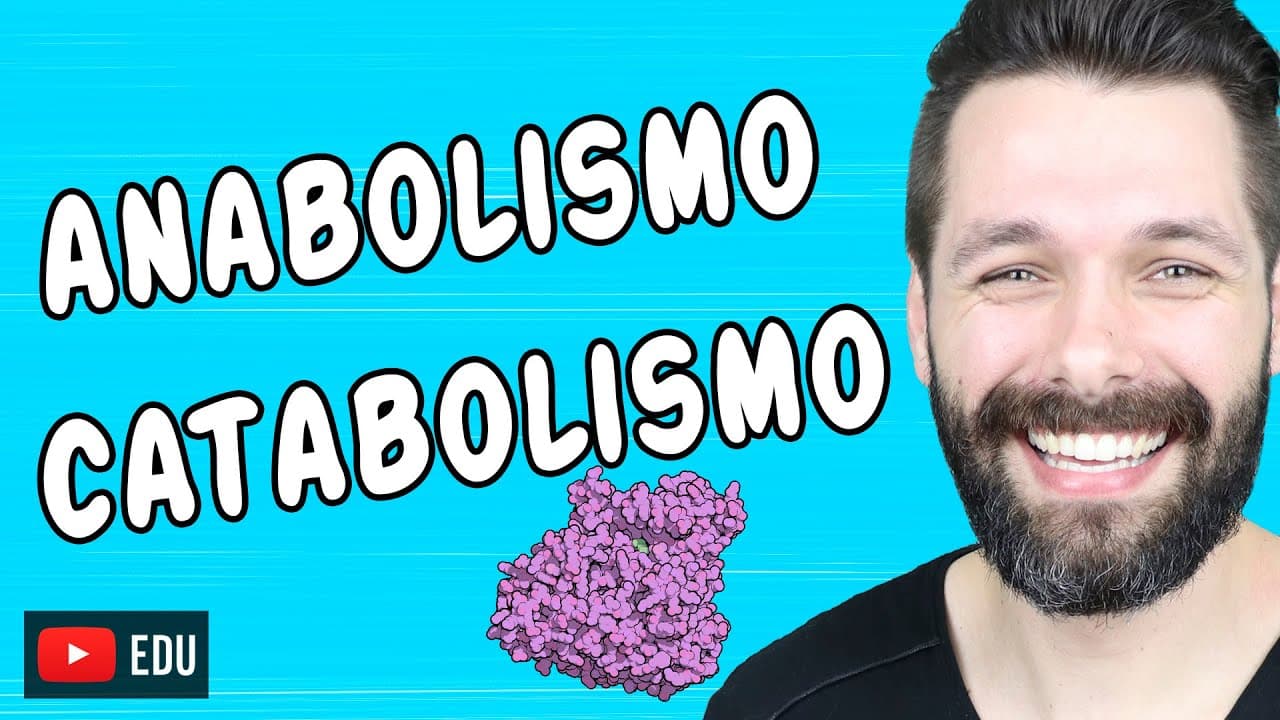 Thumbnail: METABOLISMO - ANABOLISMO E CATABOLISMO | Biologia com Samuel Cunha