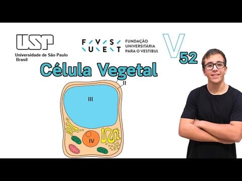 Thumbnail da aula: Fuvest 2020 | Biologia -Questão 52- As estruturas 1, 2, 3 e 4 caracterizam-se