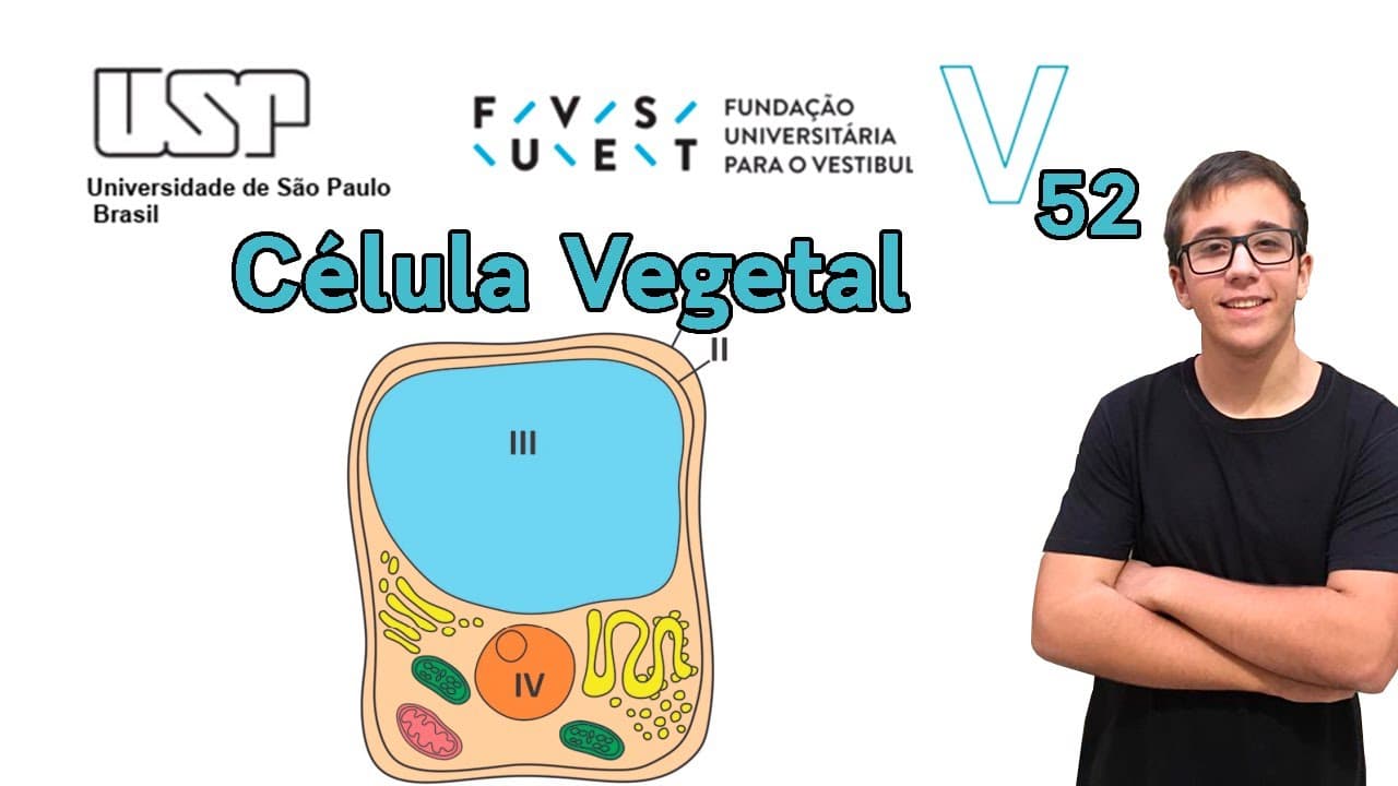 Thumbnail: Fuvest 2020 | Biologia -Questão 52- As estruturas 1, 2, 3 e 4 caracterizam-se