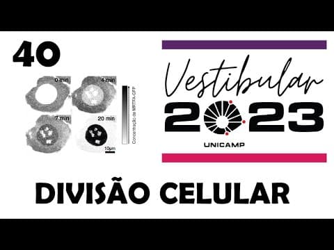 Thumbnail da aula: (Unicamp 2023) Com o uso de biotecnologia, pesquisadores podem ligar a GFP