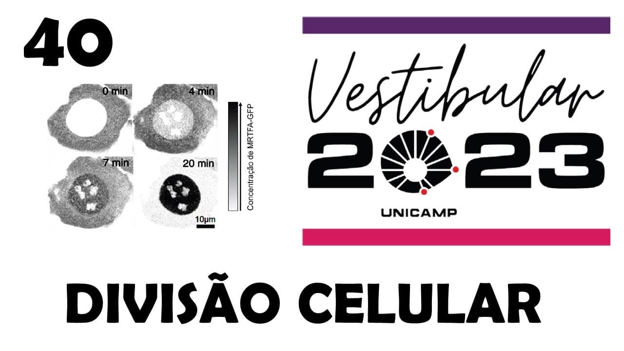 Thumbnail: (Unicamp 2023) Com o uso de biotecnologia, pesquisadores podem ligar a GFP