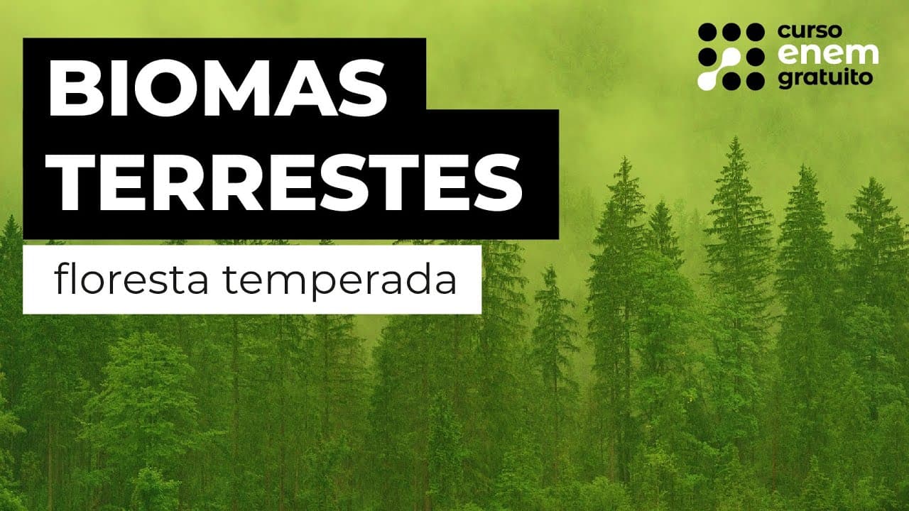 Thumbnail: BIOMAS TERRESTRES: floresta temperada | Biologia para o Enem | Cláudia de Souza Aguiar
