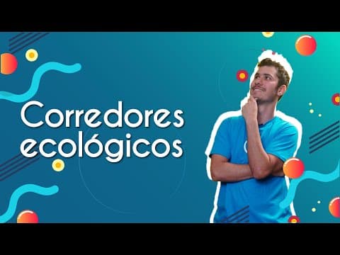 Thumbnail da aula: Corredores Ecológicos - Brasil Escola
