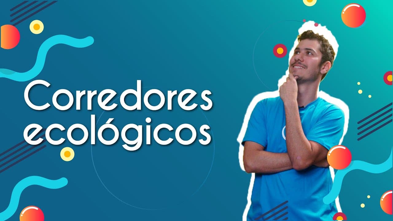 Thumbnail: Corredores Ecológicos - Brasil Escola