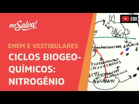 Thumbnail da aula: Me Salva! ECO28 - Ecologia - Ciclos biogeoquímicos: nitrogênio
