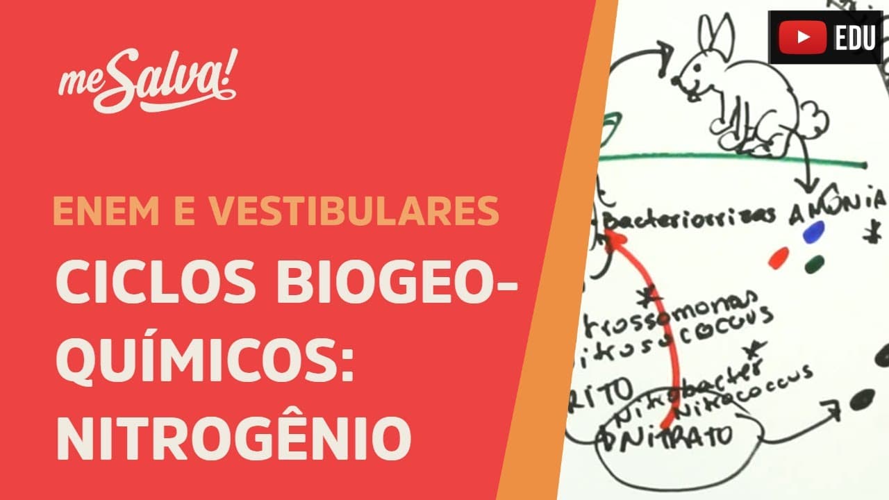 Thumbnail: Me Salva! ECO28 - Ecologia - Ciclos biogeoquímicos: nitrogênio