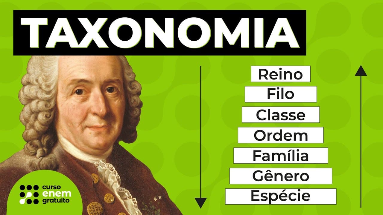 Thumbnail: TAXONOMIA | SISTEMA DE CLASSIFICAÇÃO DOS SERES VIVOS | Resumo de Biologia para o Enem