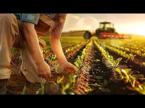 Thumbnail da aula: Qual a diferença entre Agricultura Familiar e Agroindústria? | Geografia para o Enem