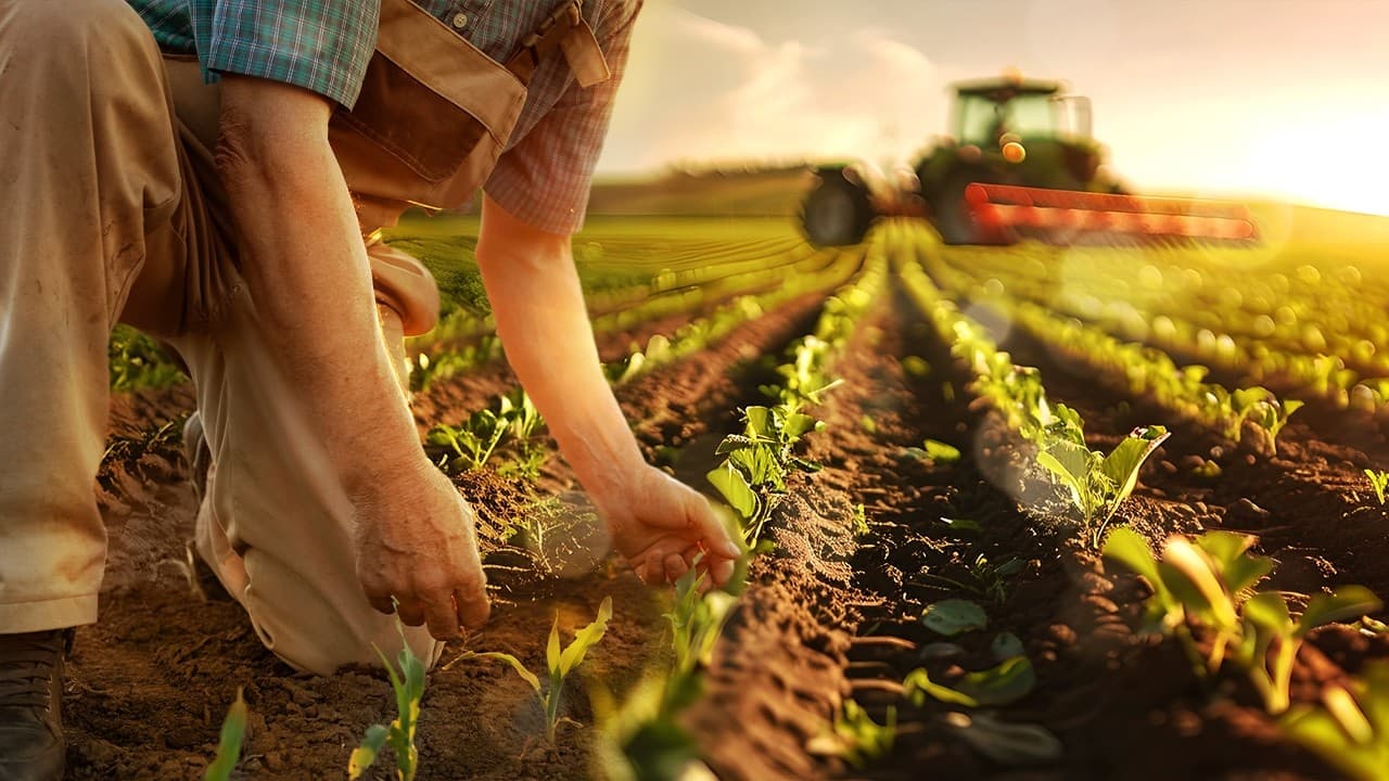 Thumbnail: Qual a diferença entre Agricultura Familiar e Agroindústria? | Geografia para o Enem
