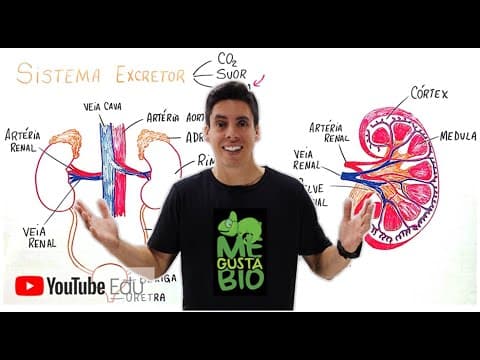 Thumbnail da aula: Sistema Excretor (Urinário) - Professor Gustavo Schmidt