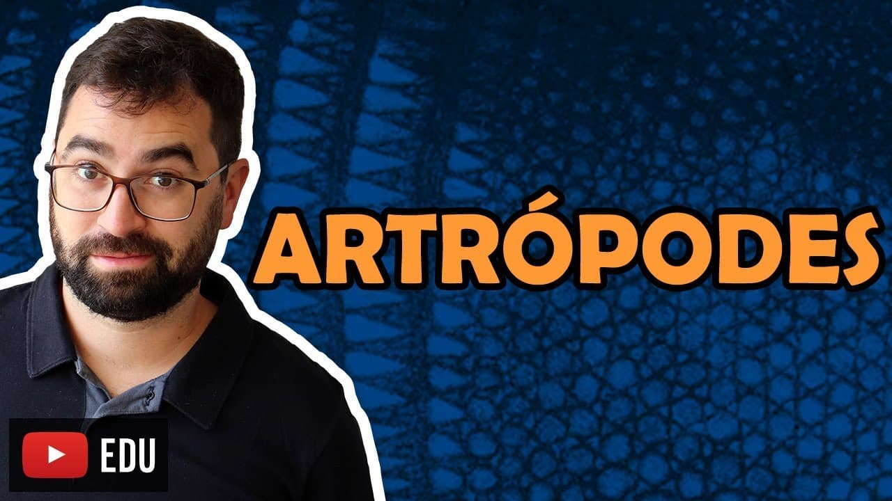 Thumbnail: Artrópodes (Parte 1) - Aula 20 - Módulo VI: Zoologia | Prof. Guilherme