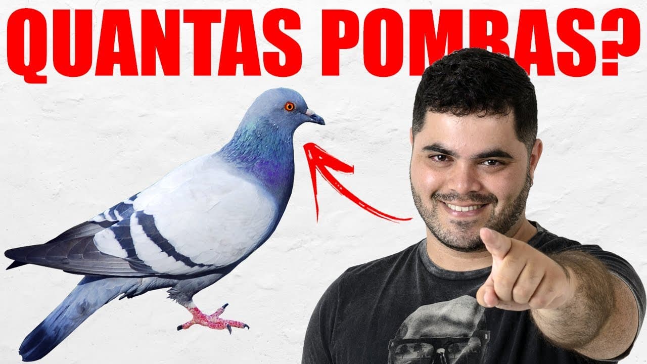 Thumbnail: 🕊 QUANTAS POMBAS NÓS SOMOS? 🤯 Como Equacionar um Problema Matemático? 🙌🏻 VOCÊ CONSEGUE DESBUGAR?