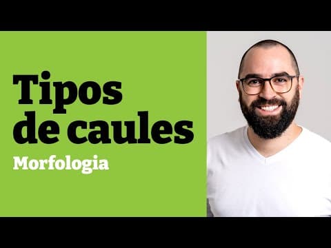 Thumbnail da aula: Morfologia e tipos de caules - Aula 16 - Módulo V: Botânica | Prof. Gui
