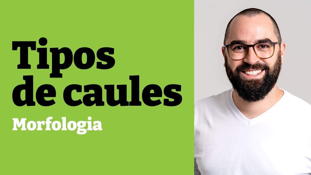 Thumbnail: Morfologia e tipos de caules - Aula 16 - Módulo V: Botânica | Prof. Gui