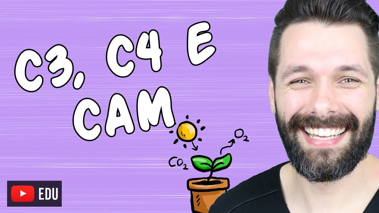 Thumbnail: PLANTAS C3, C4 e CAM - Fixação do Carbono na Fotossíntese | Biologia com Samuel Cunha