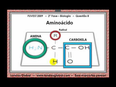 Thumbnail da aula: USP_2009_BIO_P2_Q8