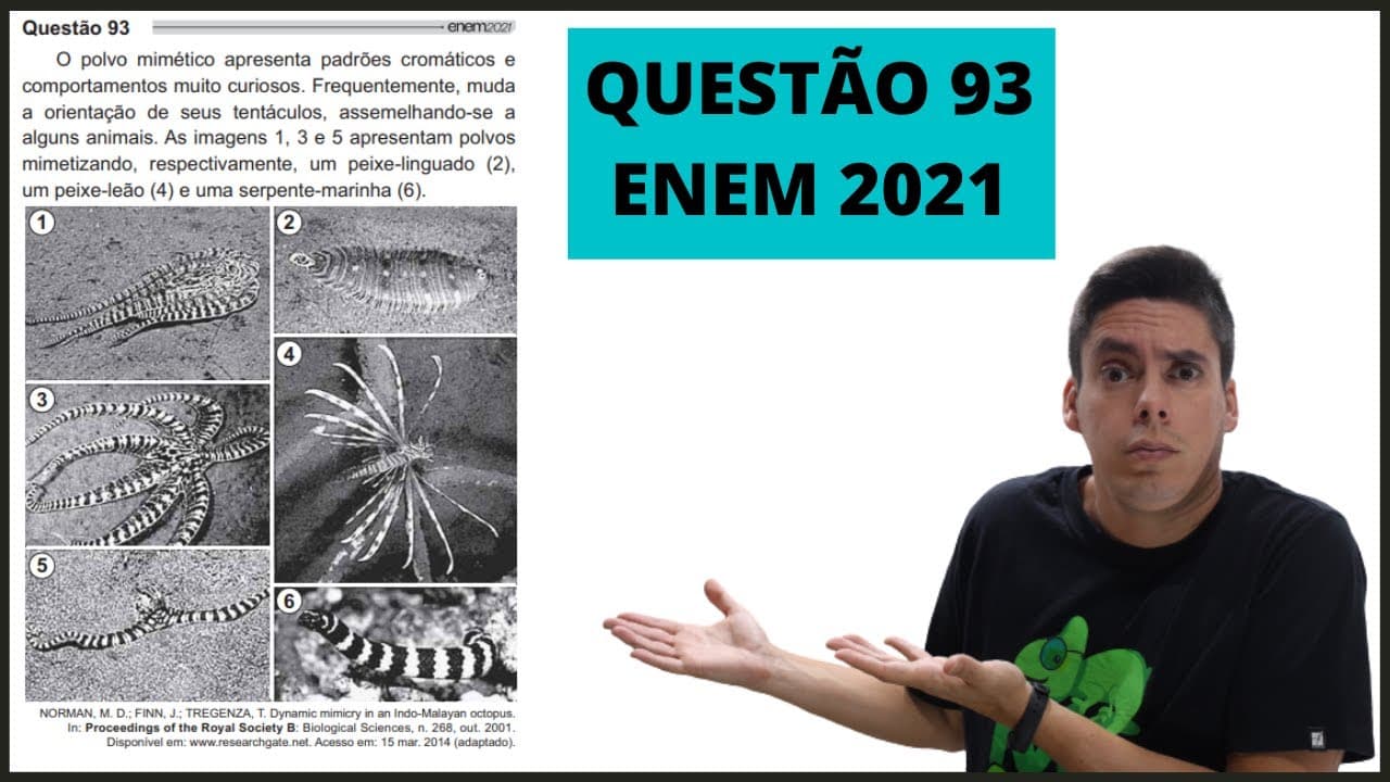 Thumbnail: BIOLOGIA ENEM 2021! "O polvo mimético apresenta padrões cromáticos..."