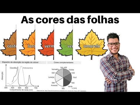Thumbnail da aula: (Enem 2021) No outono, as folhas das árvores mudam de cor, de verde para tons de amarelo, castanho,