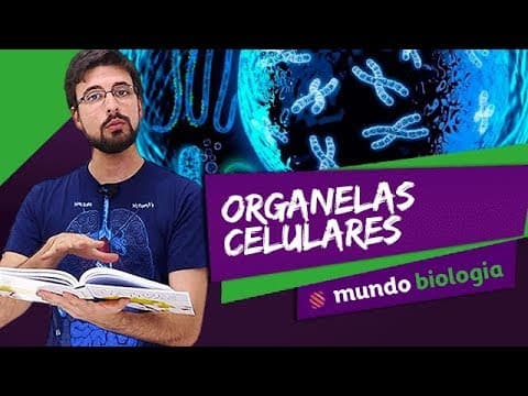 Thumbnail da aula: 🔬 Citologia (2/7): Organelas Celulares - Biologia - ENEM