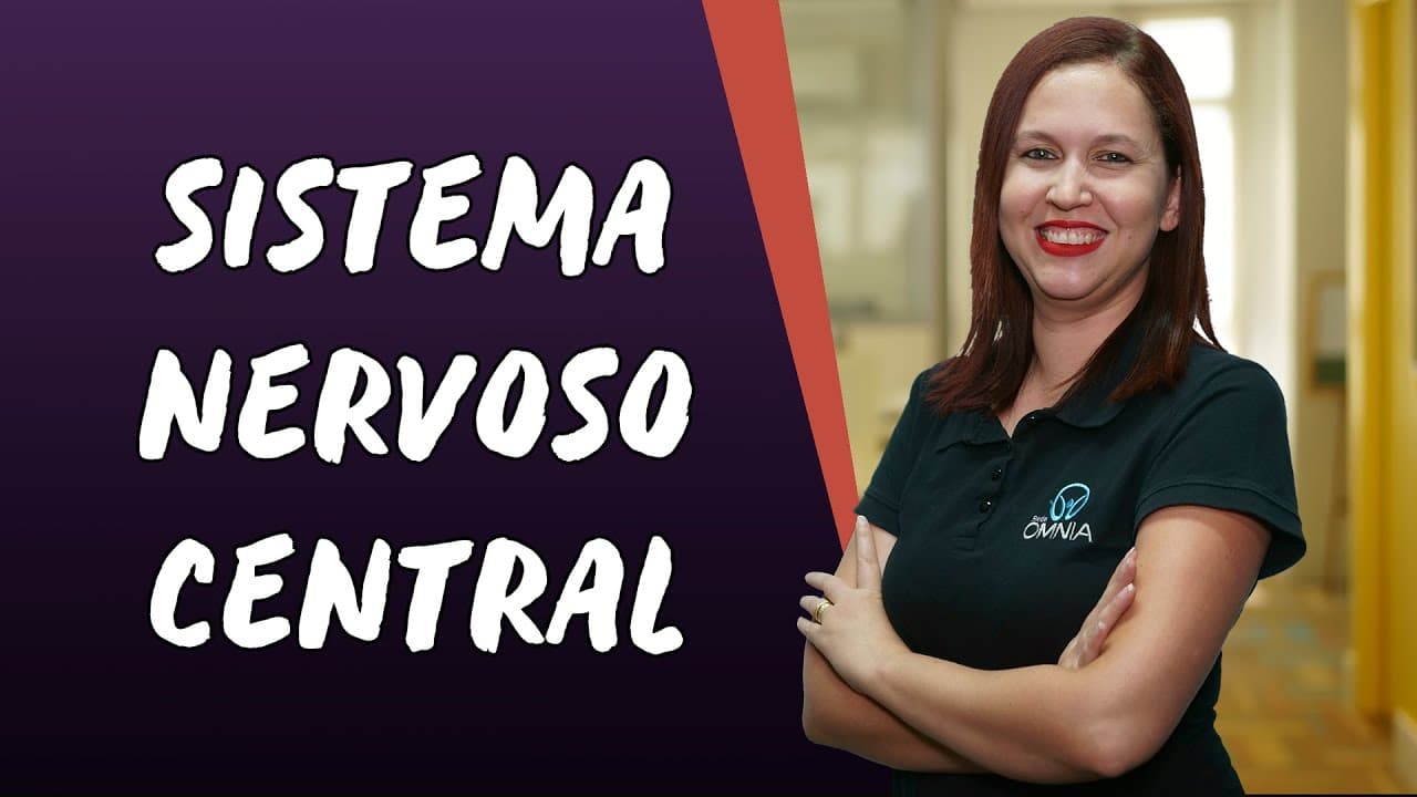 Thumbnail: Sistema Nervoso Central - Brasil Escola